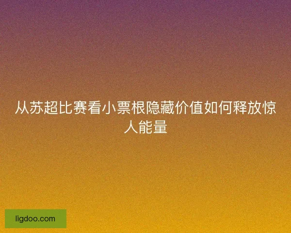 从苏超比赛看小票根隐藏价值如何释放惊人能量