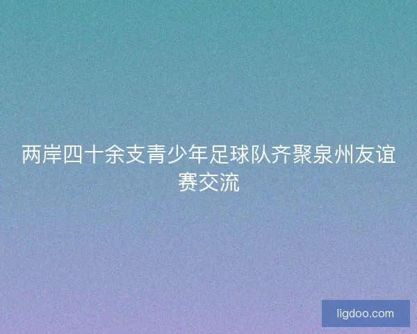两岸四十余支青少年足球队齐聚泉州友谊赛交流