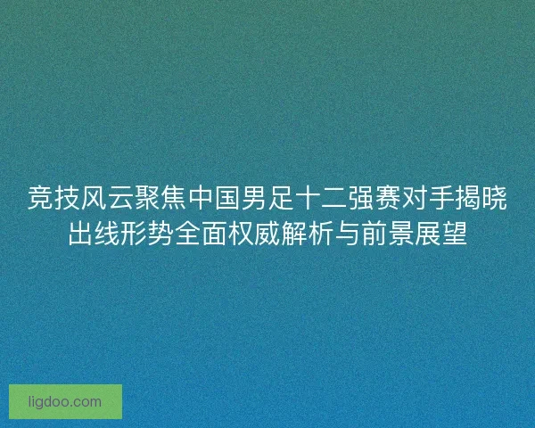 竞技风云聚焦中国男足十二强赛对手揭晓出线形势全面权威解析与前景展望